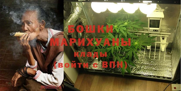 PSILOCYBIN Иннополис
