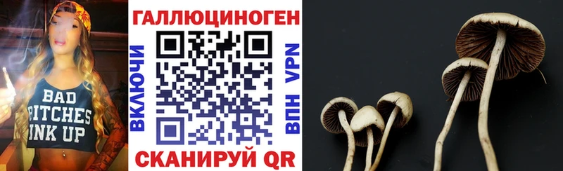 Купить закладки  Горячий Ключ  Псилоцибиновые грибы GOLDEN TEACHER 